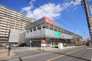 シャーメゾン　レミーラ 102号-15