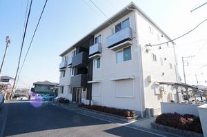 Ｓｕｎ　Ｌａｖｅｎｄｅｒ