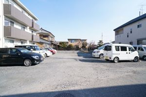 Sun Lavender 203号-12