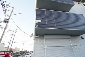 Sun Lavender 203号-14