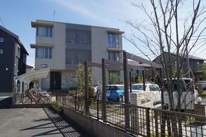 Ｗｈｉｔｅ　Ｆｏｒｅｓｔ 306号-12