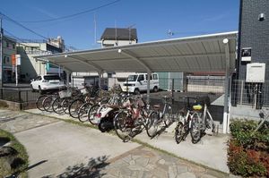 Ｗｈｉｔｅ　Ｆｏｒｅｓｔ 306号-13