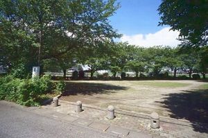 Bonne Chance Ⅱ 201号-14