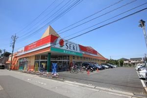 ウェール　Ⅲ 201号-15