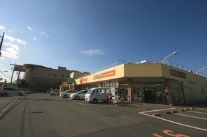 Ｓｈａｍａｉｓｏｎ　Ｆｕｊｉ 101号-15