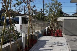 カトルセゾン 202号-12