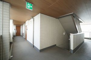 ロータス グランツ 305号-15