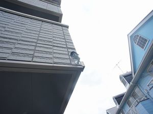 ラディアンス 101号-13