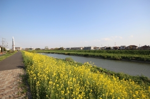 メゾン・ド・ポワン 201号-14