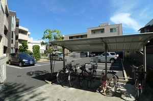 Ａｒｉａ－ｎｏｐｓ 216号-13