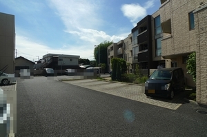 Ａｒｉａ－ｎｏｐｓ 216号-14