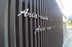 Ａｒｉａ－ｎｏｐｓ 216号-15