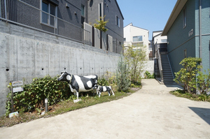 Ｏｈａｎａ　Ｈａｒｅ　Ｃ 203号-14