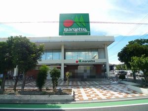 セントルーガ西青木 201号-14