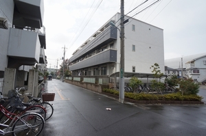 Princess Summer 303号-13