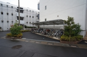 Princess Summer 303号-14