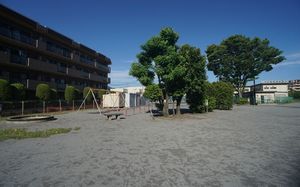 ヴィオラ 102号-15