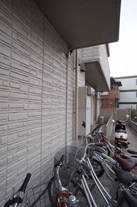 アサンテサーナ 101号-14