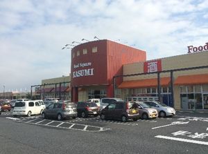 ウィステリア　Ａ 101号-12