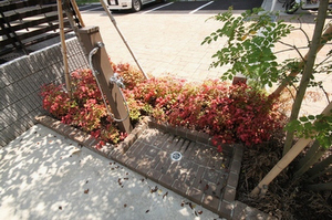 ａｑｕａ　ｕｎａ 103号-15