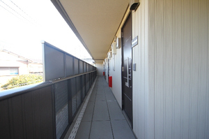 セレッソ 105号-13