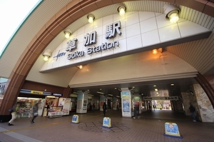 Ｐｅａｒ　Ｂｌｏｏｍ　高砂 303号-3