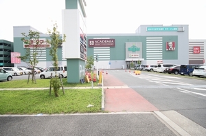 Plasterer Ⅱ 103号-14