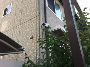 テラ・ナターレ　Ⅳ 102号-15