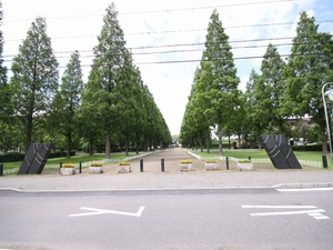 ＭＡＩＳＯＮ　ＨＩＭＡＷＡＲＩ　Ⅱ 102号-15