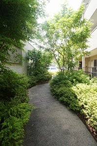 Ｖｏｉｅ　ｌａｃｔｅｅ 301号-15