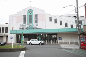 セリシール 101号-14