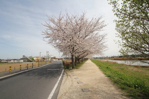 ヴェルジェ・エスト 103号-4