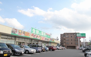 リリー　レジデンス 101号-15