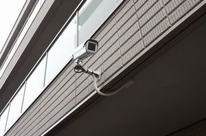 Ｆｅｌｉｓｅｅｄ 301号-14