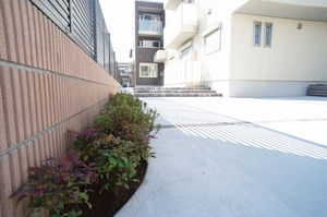 Ａｒｉａ 101号-5