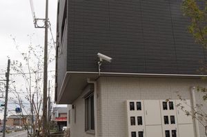 Ｍ－Ｒｕｓｃｅｌｌｏ 201号-5