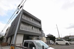 ジャカランダ 201号-12