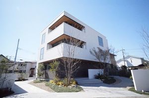 ファレノプシス　アフロディテ