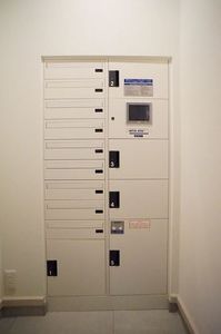 ファレノプシス アフロディテ 103号-13