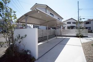 ファレノプシス アフロディテ 103号-14