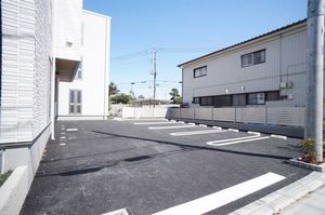 ファレノプシス アフロディテ 103号-15