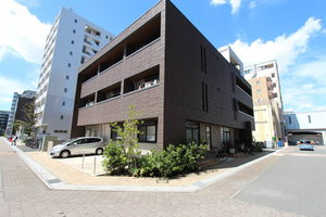 ヘルメスコート 205号-1