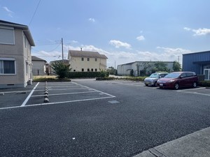 コトリネ．ダフネ 101号-13