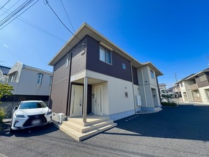 オキザリス　Ｂ 201号-1