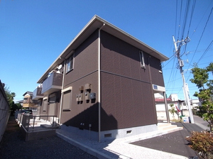 オキザリス B 201号-13