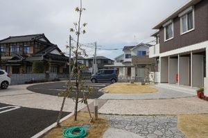 アンシャンテ拾六間 203号-4