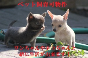 ＧＩＯＩＡＰＲＩＭＯ　Ｅ 201号-5