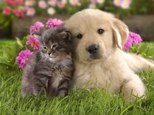 レフィシア　Ｂ 201号-13