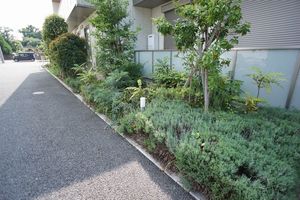 エクラージュ 101号-14