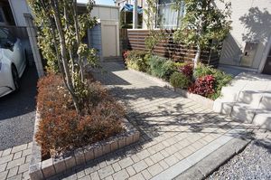 ドリーミオ 102号-12